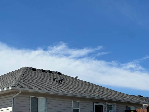 Best Solar Panel Roofing Installation  in Rigby, ID